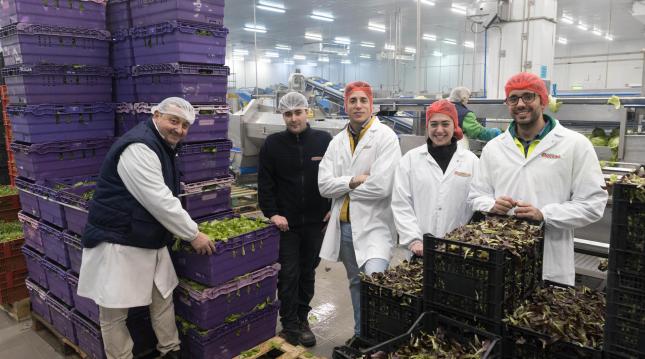 La empresa Vegetales Línea Verde de Tudela, pionera en usar agua sin productos químicos